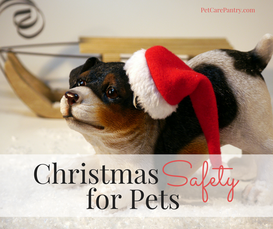 Christmas Safety for Pets