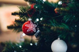 Christmas Safety for Pets